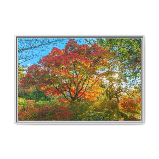 Kyoto Vibrant Autumn Landscape Canvas Print - Multicolor Framed Art for Home Decor