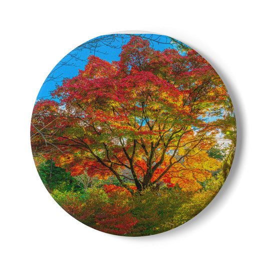 Kyoto Autumn Leaves Ceramic Coaster - Colorful Fall Decor for Home & Kitchen