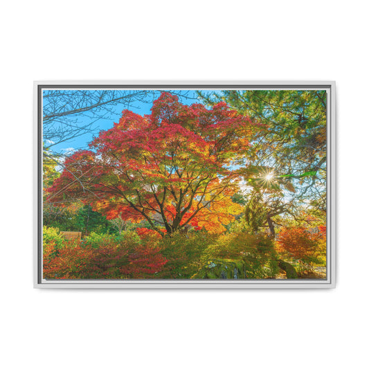 Kyoto Vibrant Autumn Landscape Canvas Print - Multicolor Framed Art for Home Decor