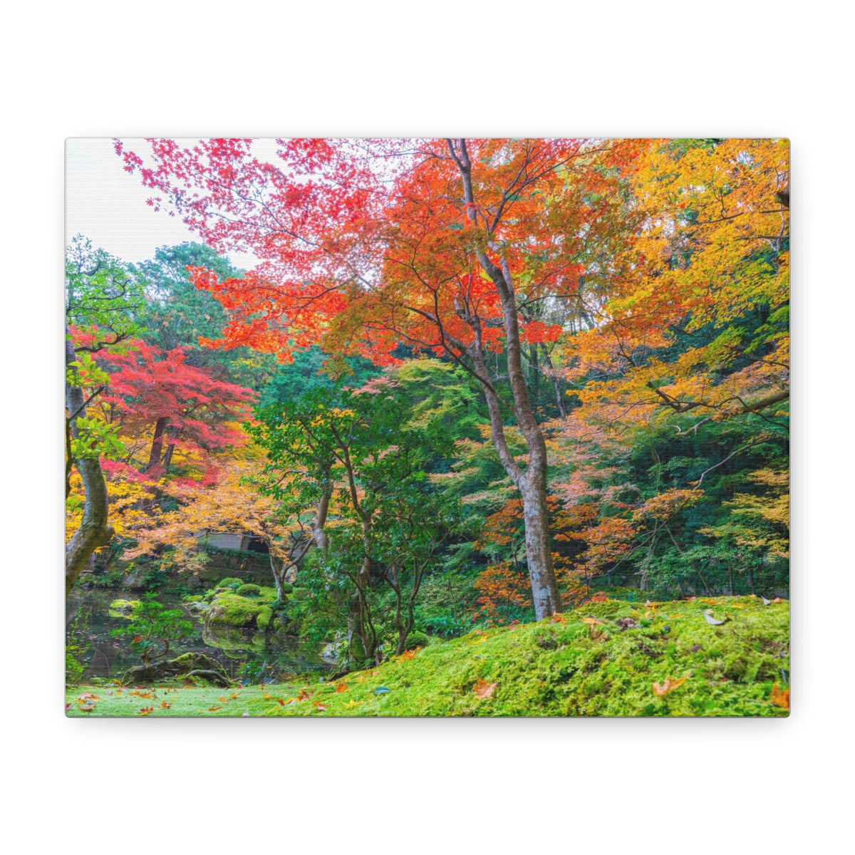 Canvas of Nanzen-ji garden autumn maple and moss, Kyoto zen wall art