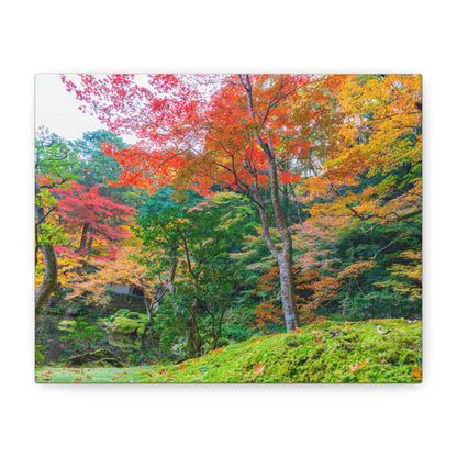 Canvas of Nanzen-ji garden autumn maple and moss, Kyoto zen wall art