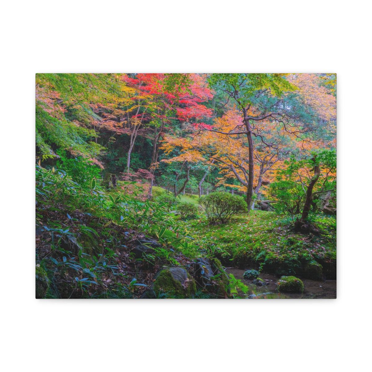 Nanzen-ji Autumn Stream Canvas — Kyoto Maple Garden & Moss Wall Art, Japan