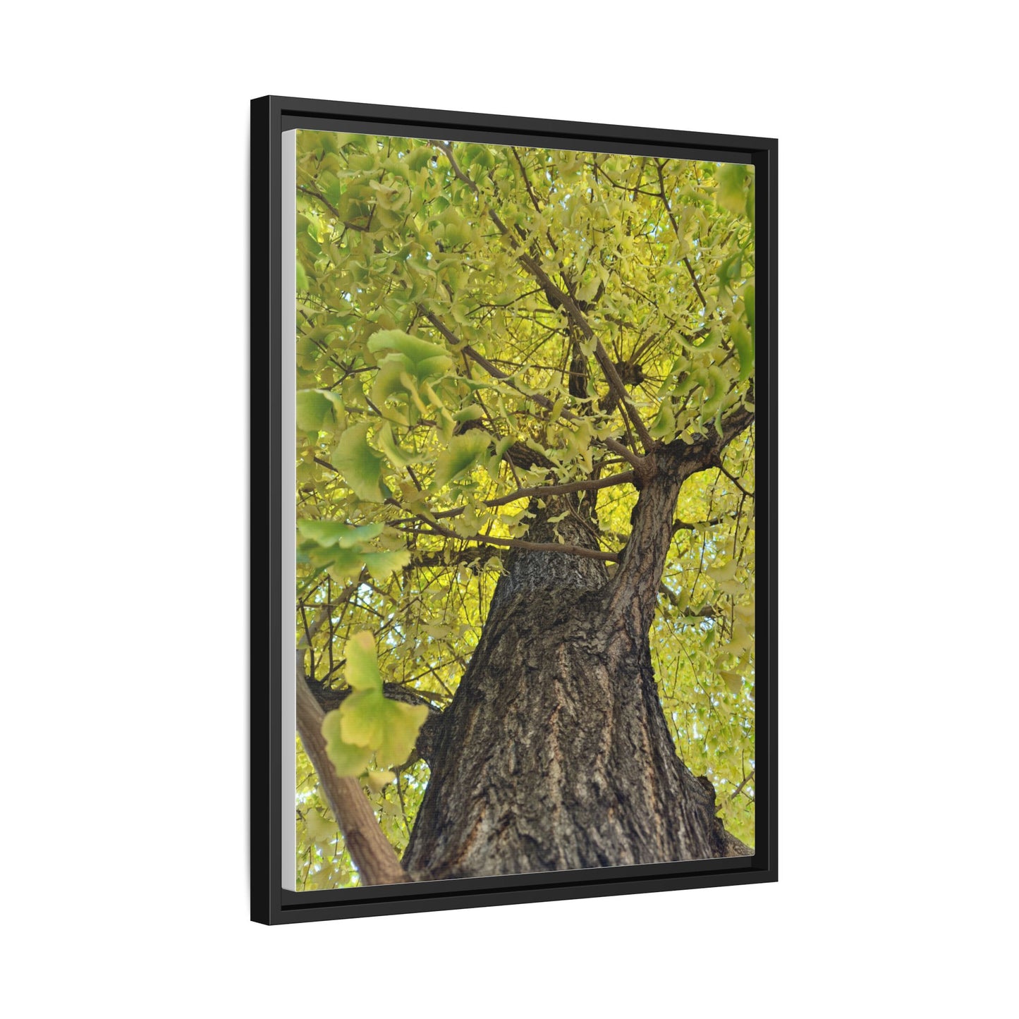 Sunlit Green Tree Canopy Framed Canvas Print — Botanical Nature Wall Art