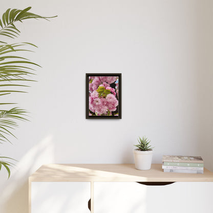 Pink Cherry Blossoms Framed Canvas Print — Japanese Spring Floral Wall Art