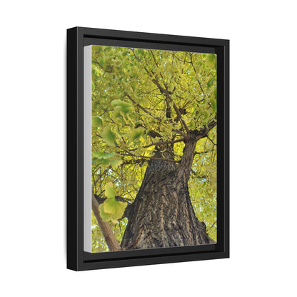 Sunlit Green Tree Canopy Framed Canvas Print — Botanical Nature Wall Art