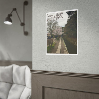 Cherry Blossom Path Rolled Poster — Japanese Garden Wall Art