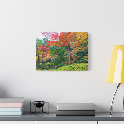 Nanzen-ji Garden Autumn Canvas — Kyoto Maple & Moss Zen Wall Art, Japan
