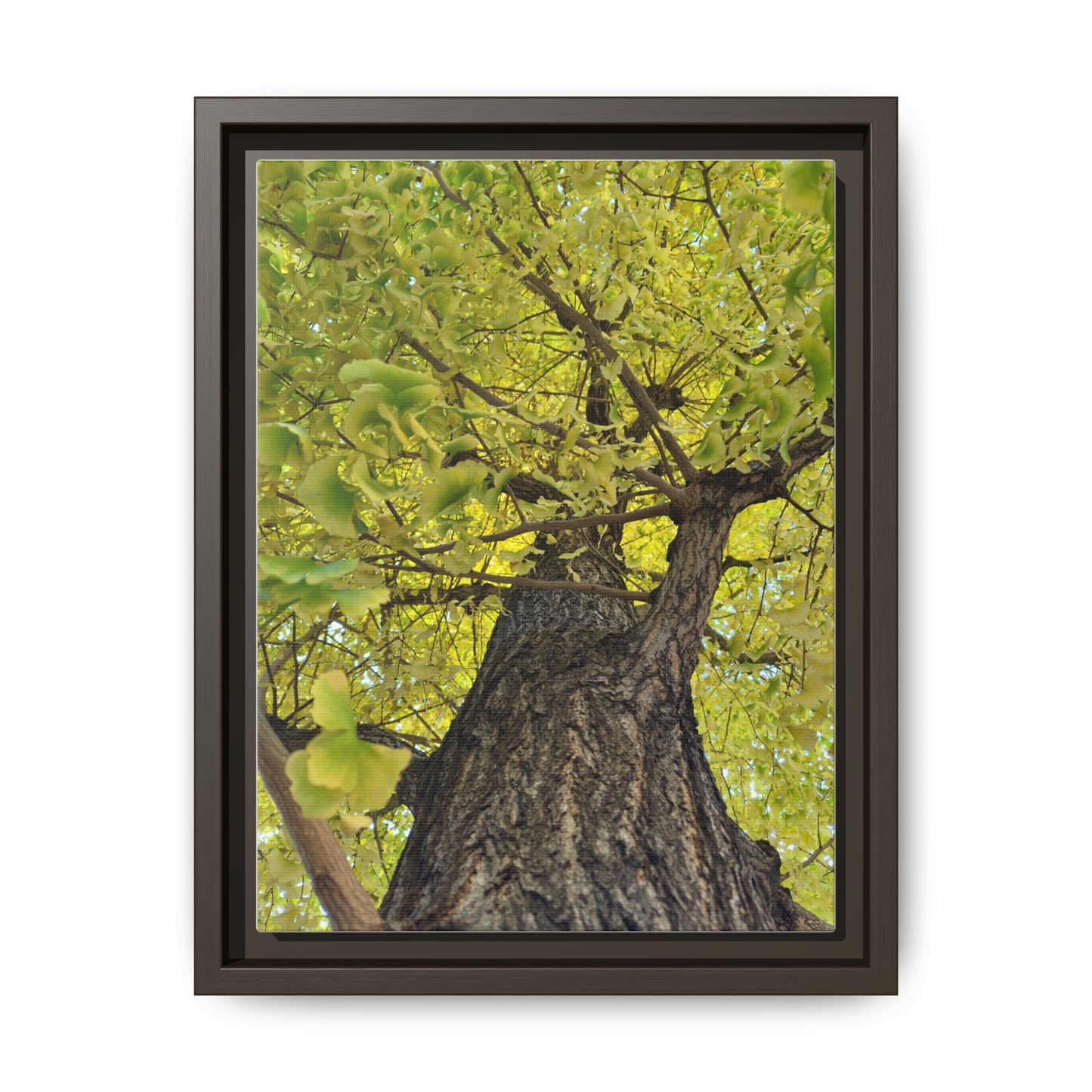 Sunlit Green Tree Canopy Framed Canvas Print — Botanical Nature Wall Art