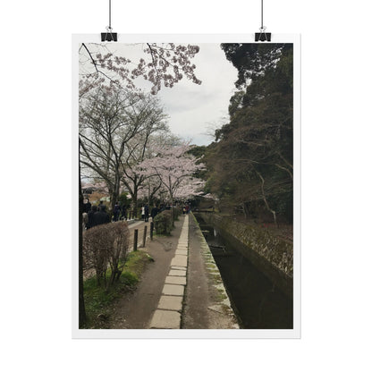 Cherry Blossom Path Rolled Poster — Japanese Garden Wall Art