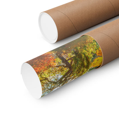 Kyoto Maple Autumn Poster — Vivid Red Fall Foliage Wall Print near Ginkaku-ji, Japan
