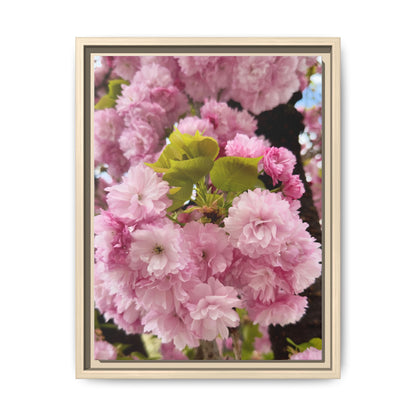 Pink Cherry Blossoms Framed Canvas Print — Japanese Spring Floral Wall Art