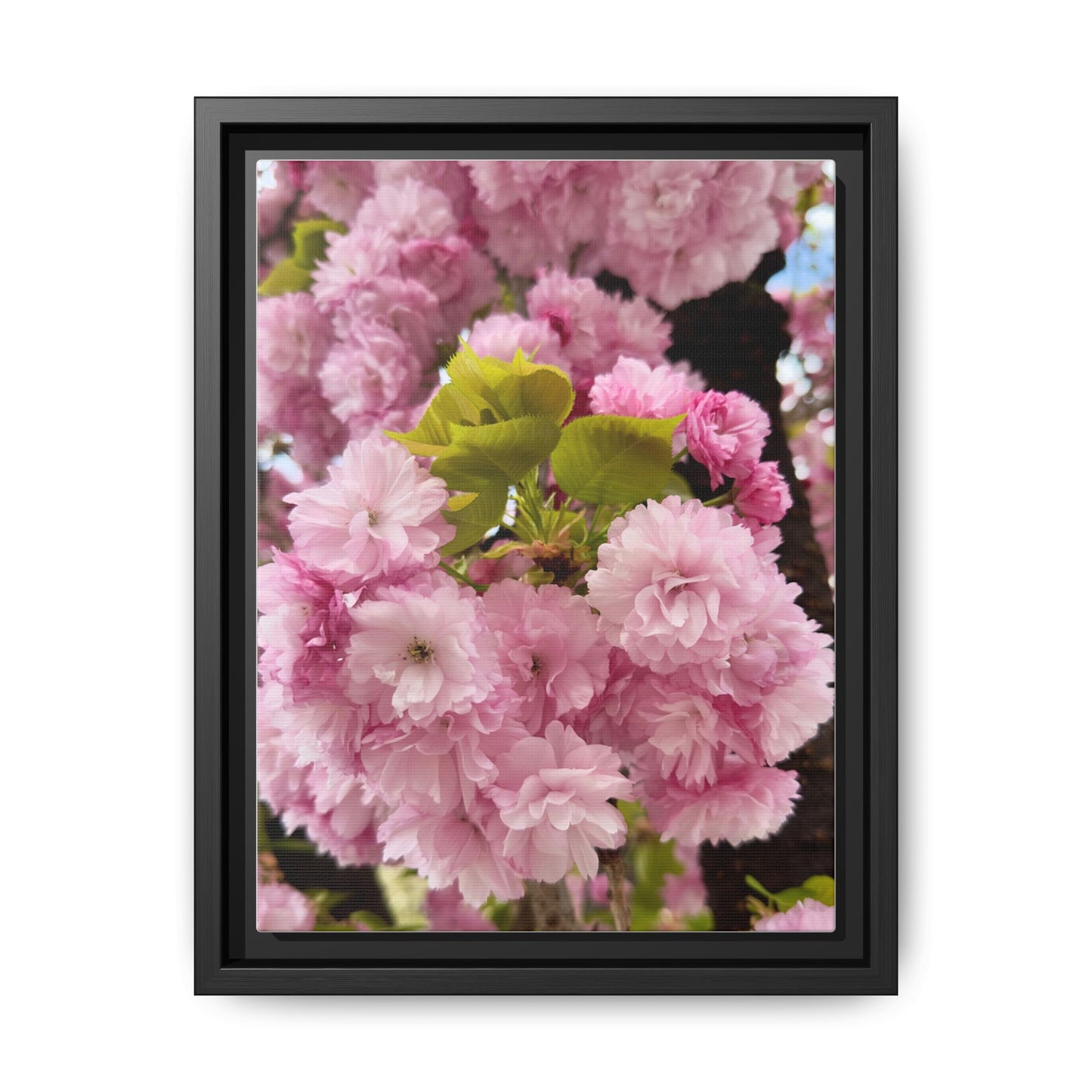 Pink Cherry Blossoms Framed Canvas Print — Japanese Spring Floral Wall Art