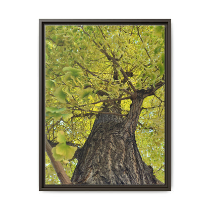 Sunlit Green Tree Canopy Framed Canvas Print — Botanical Nature Wall Art