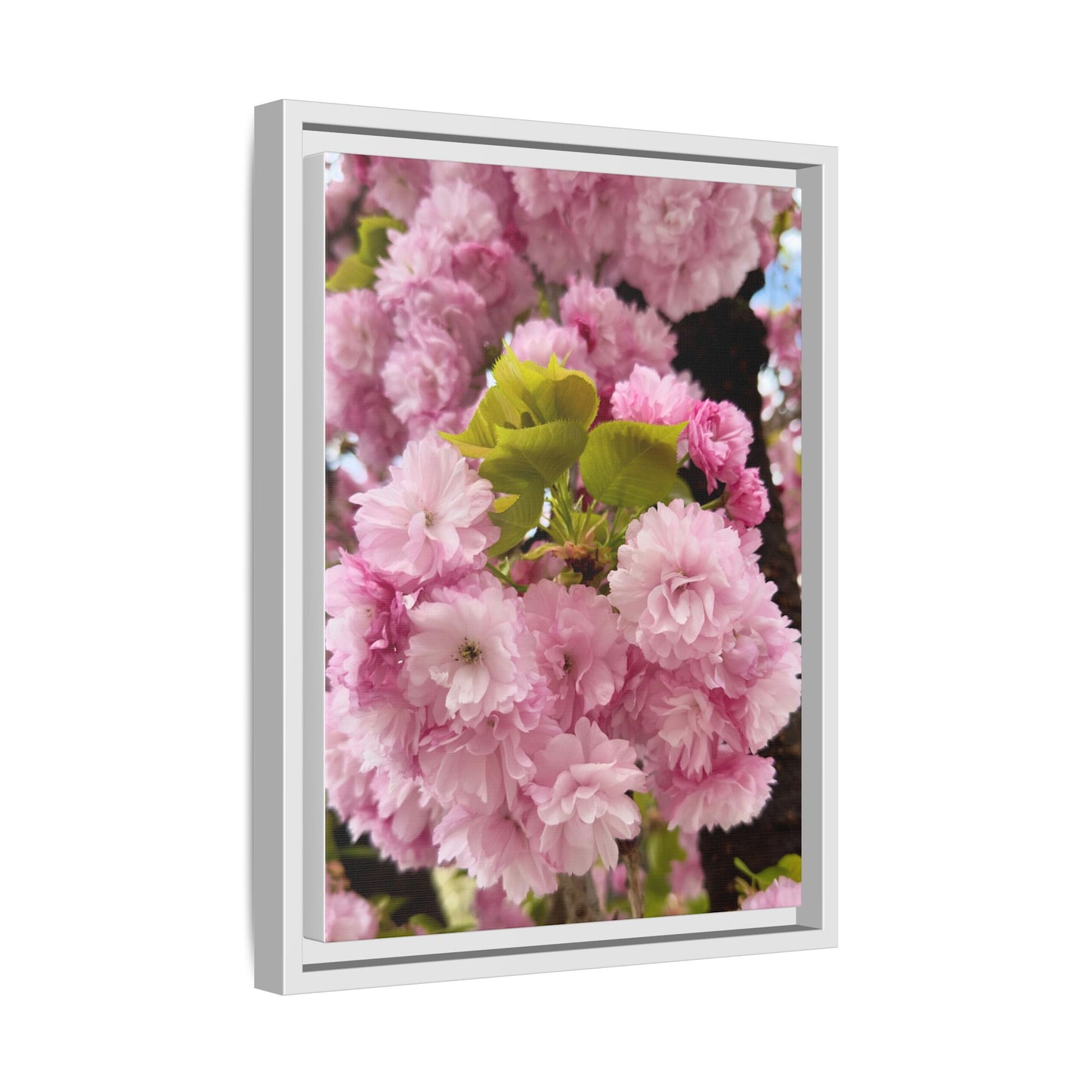 Pink Cherry Blossoms Framed Canvas Print — Japanese Spring Floral Wall Art