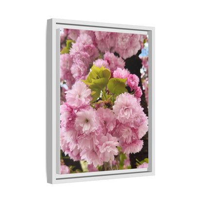 Pink Cherry Blossoms Framed Canvas Print — Japanese Spring Floral Wall Art