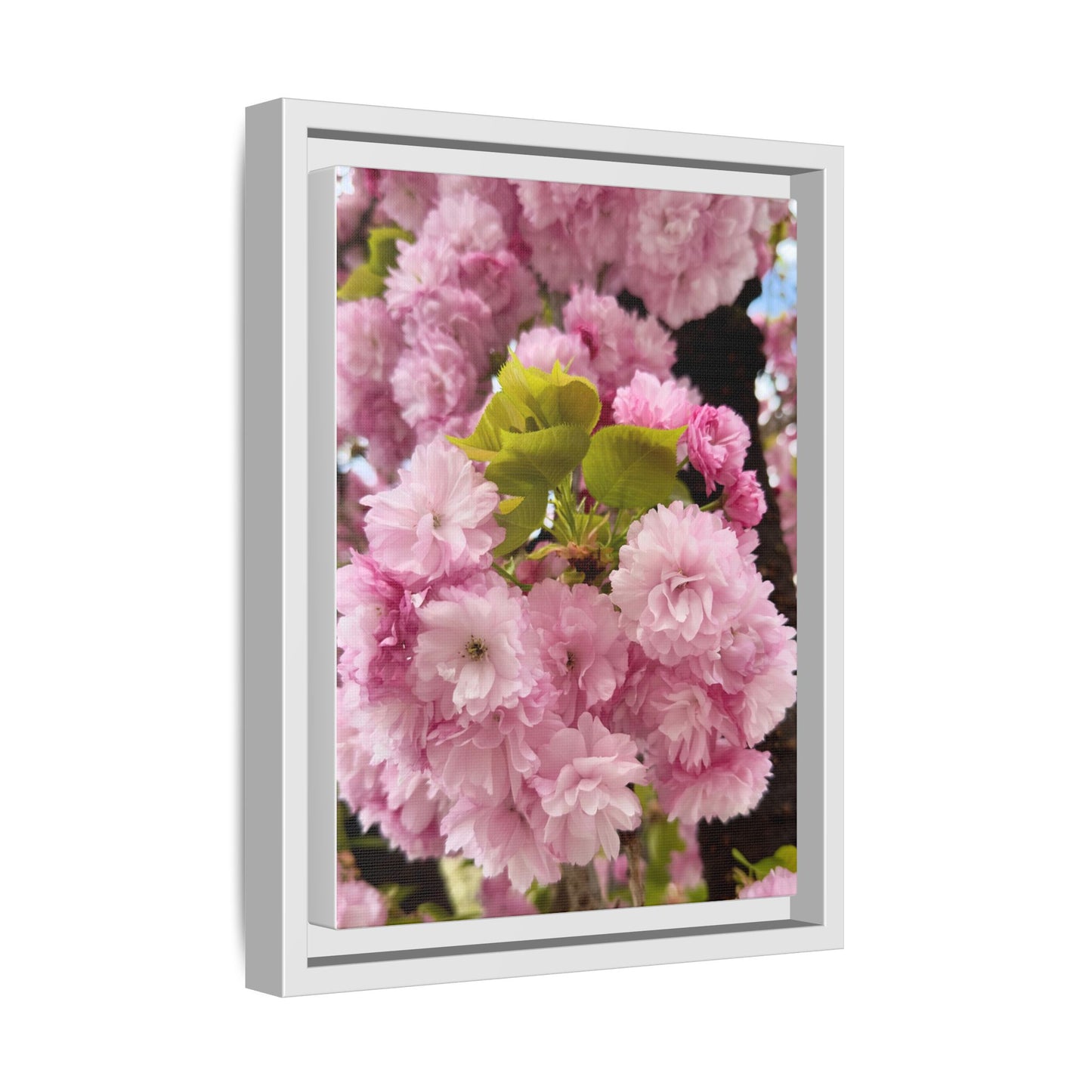 Pink Cherry Blossoms Framed Canvas Print — Japanese Spring Floral Wall Art