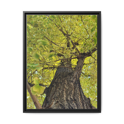 Sunlit Green Tree Canopy Framed Canvas Print — Botanical Nature Wall Art
