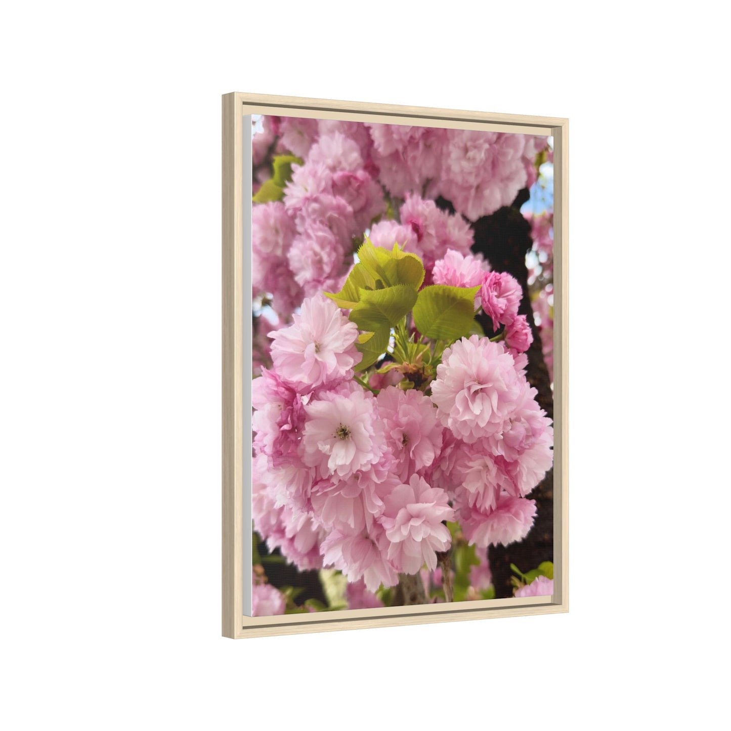 Pink Cherry Blossoms Framed Canvas Print — Japanese Spring Floral Wall Art