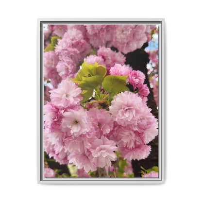Pink Cherry Blossoms Framed Canvas Print — Japanese Spring Floral Wall Art