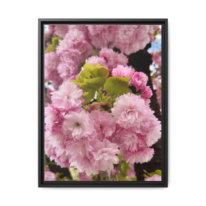 Pink Cherry Blossoms Framed Canvas Print — Japanese Spring Floral Wall Art