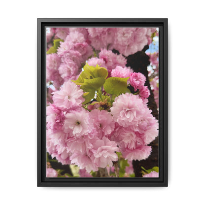 Pink Cherry Blossoms Framed Canvas Print — Japanese Spring Floral Wall Art