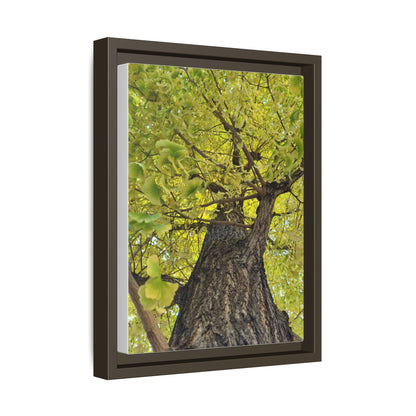 Sunlit Green Tree Canopy Framed Canvas Print — Botanical Nature Wall Art