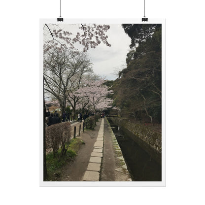 Cherry Blossom Path Rolled Poster — Japanese Garden Wall Art