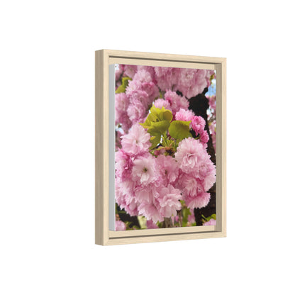 Pink Cherry Blossoms Framed Canvas Print — Japanese Spring Floral Wall Art
