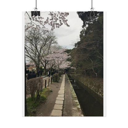 Cherry Blossom Path Rolled Poster — Japanese Garden Wall Art