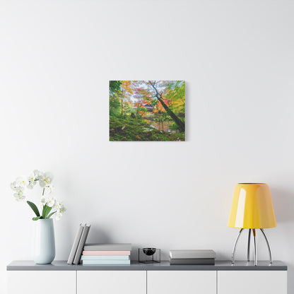Nanzen-ji Moss Garden Autumn Canvas — Kyoto Maple Forest Zen Wall Art, Japan