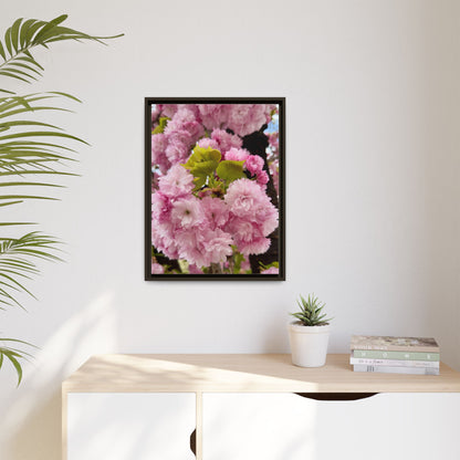 Pink Cherry Blossoms Framed Canvas Print — Japanese Spring Floral Wall Art