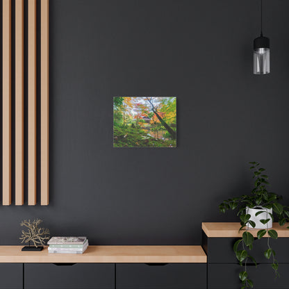 Nanzen-ji Moss Garden Autumn Canvas — Kyoto Maple Forest Zen Wall Art, Japan