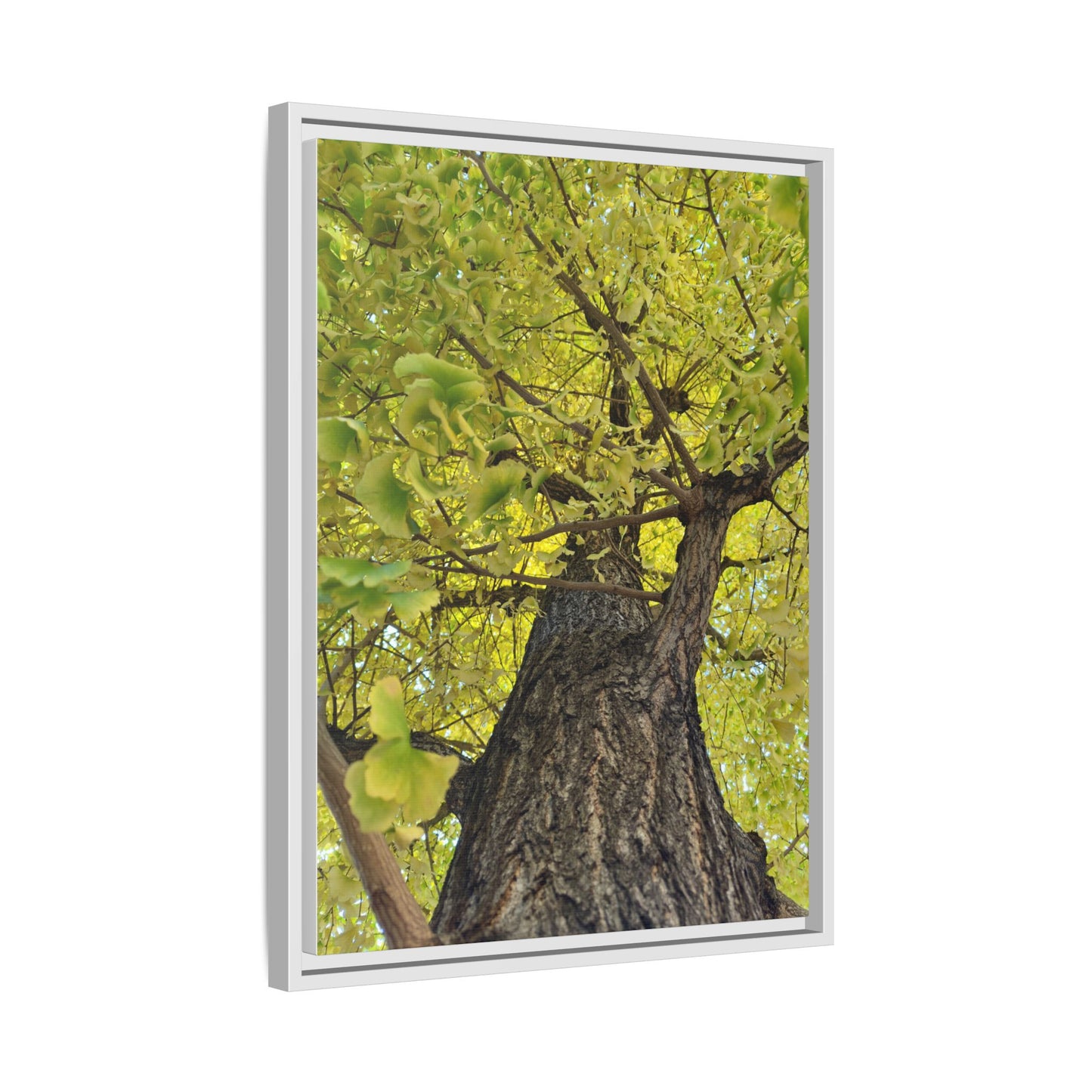 Sunlit Green Tree Canopy Framed Canvas Print — Botanical Nature Wall Art