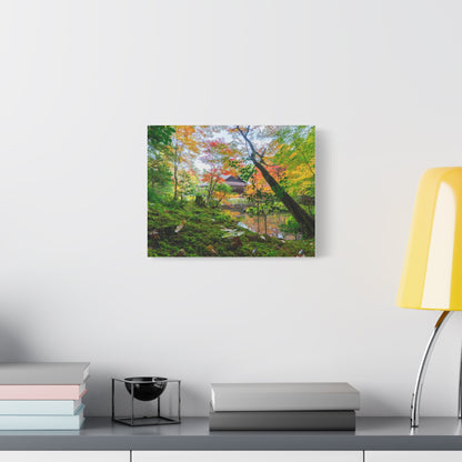 Nanzen-ji Moss Garden Autumn Canvas — Kyoto Maple Forest Zen Wall Art, Japan