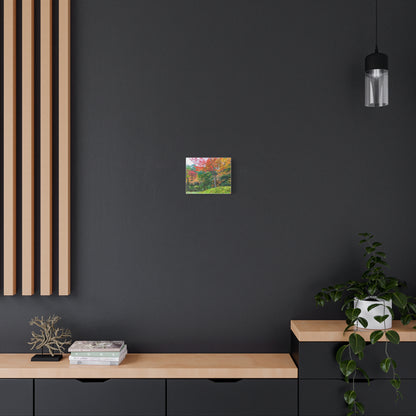 Nanzen-ji Garden Autumn Canvas — Kyoto Maple & Moss Zen Wall Art, Japan