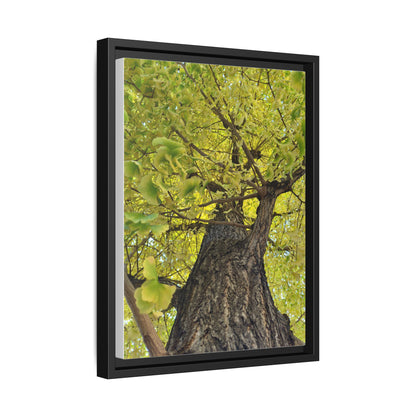 Sunlit Green Tree Canopy Framed Canvas Print — Botanical Nature Wall Art