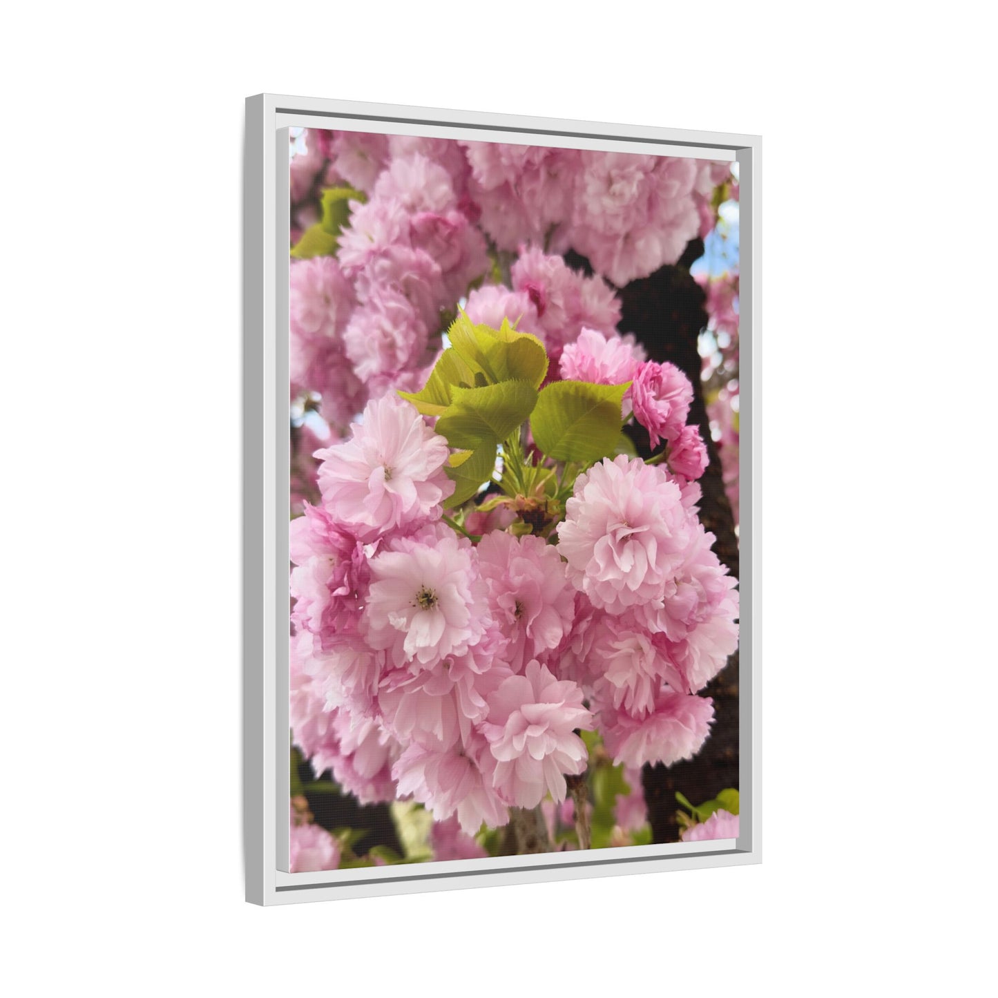 Pink Cherry Blossoms Framed Canvas Print — Japanese Spring Floral Wall Art
