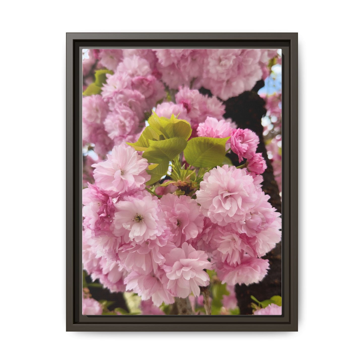 Pink Cherry Blossoms Framed Canvas Print — Japanese Spring Floral Wall Art