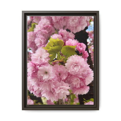 Pink Cherry Blossoms Framed Canvas Print — Japanese Spring Floral Wall Art