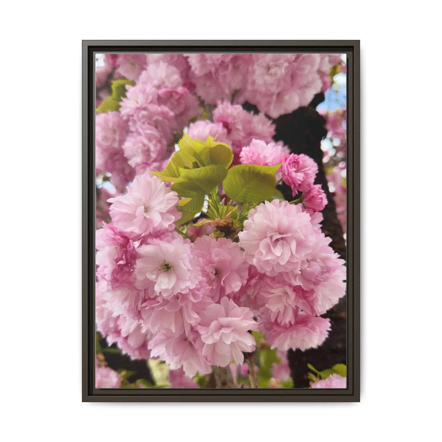Pink Cherry Blossoms Framed Canvas Print — Japanese Spring Floral Wall Art