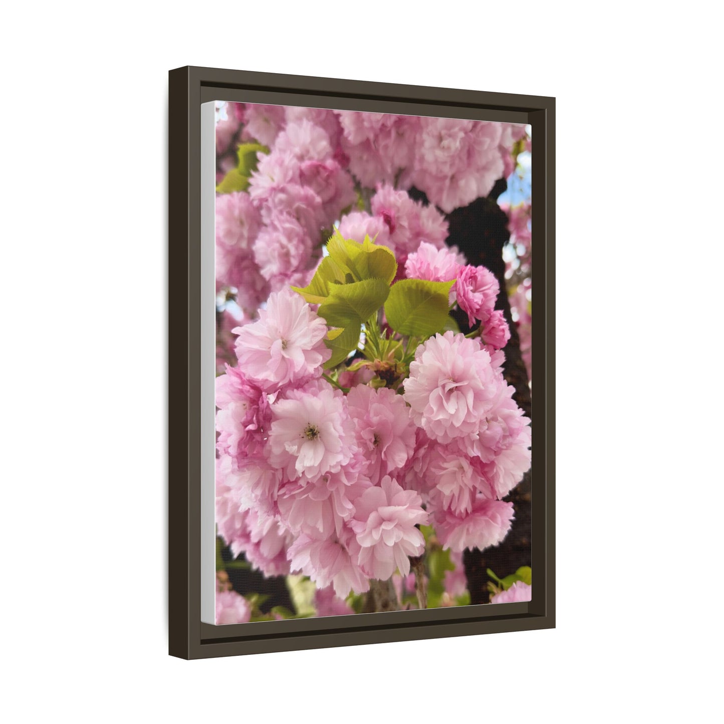 Pink Cherry Blossoms Framed Canvas Print — Japanese Spring Floral Wall Art