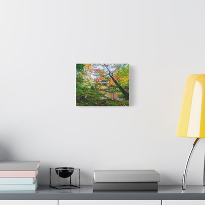Nanzen-ji Moss Garden Autumn Canvas — Kyoto Maple Forest Zen Wall Art, Japan
