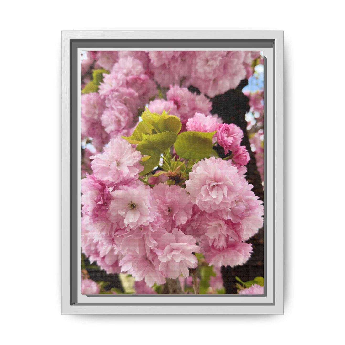 Pink Cherry Blossoms Framed Canvas Print — Japanese Spring Floral Wall Art