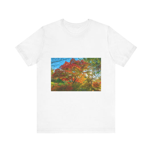 Kyoto Autumn Tree Unisex Short Sleeve Tee - Nature Inspired Fall Shirt
