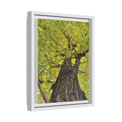 Sunlit Green Tree Canopy Framed Canvas Print — Botanical Nature Wall Art