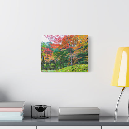 Nanzen-ji Garden Autumn Canvas — Kyoto Maple & Moss Zen Wall Art, Japan