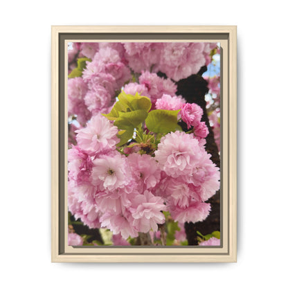 Pink Cherry Blossoms Framed Canvas Print — Japanese Spring Floral Wall Art