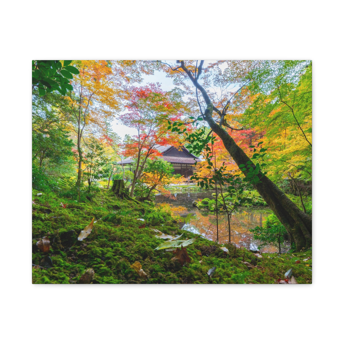 Nanzen-ji Moss Garden Autumn Canvas — Kyoto Maple Forest Zen Wall Art, Japan