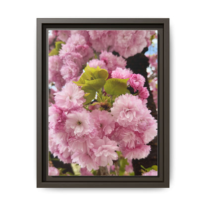 Pink Cherry Blossoms Framed Canvas Print — Japanese Spring Floral Wall Art