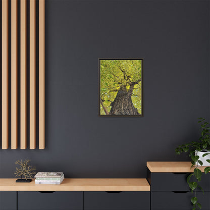 Sunlit Green Tree Canopy Framed Canvas Print — Botanical Nature Wall Art